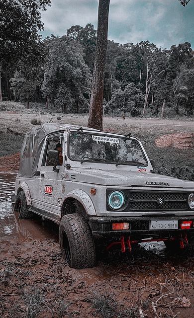 拉卡泽特回到酋长球场，观看并解说枪手对阵拜仁的比赛