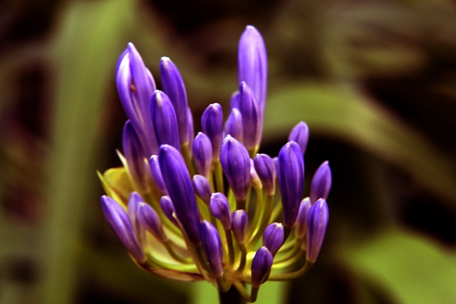 ESPN：国米已经就冬窗转会和焦瓦内的代表进行谈判